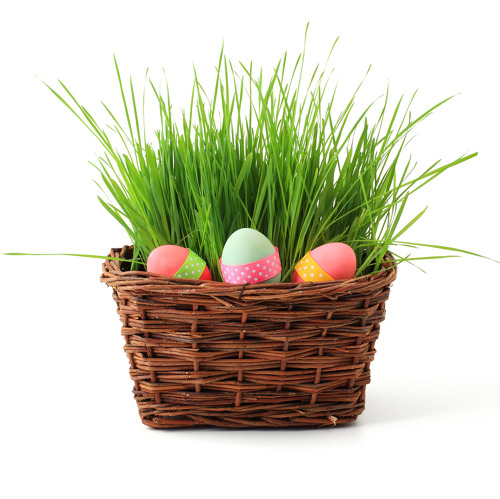 Der Ostersamstag im Zeichen lodernder Flammen, Traditionsosterfeuer in den Kleingärtnervereinen Hospitalwiesen und Kiebitzsee.